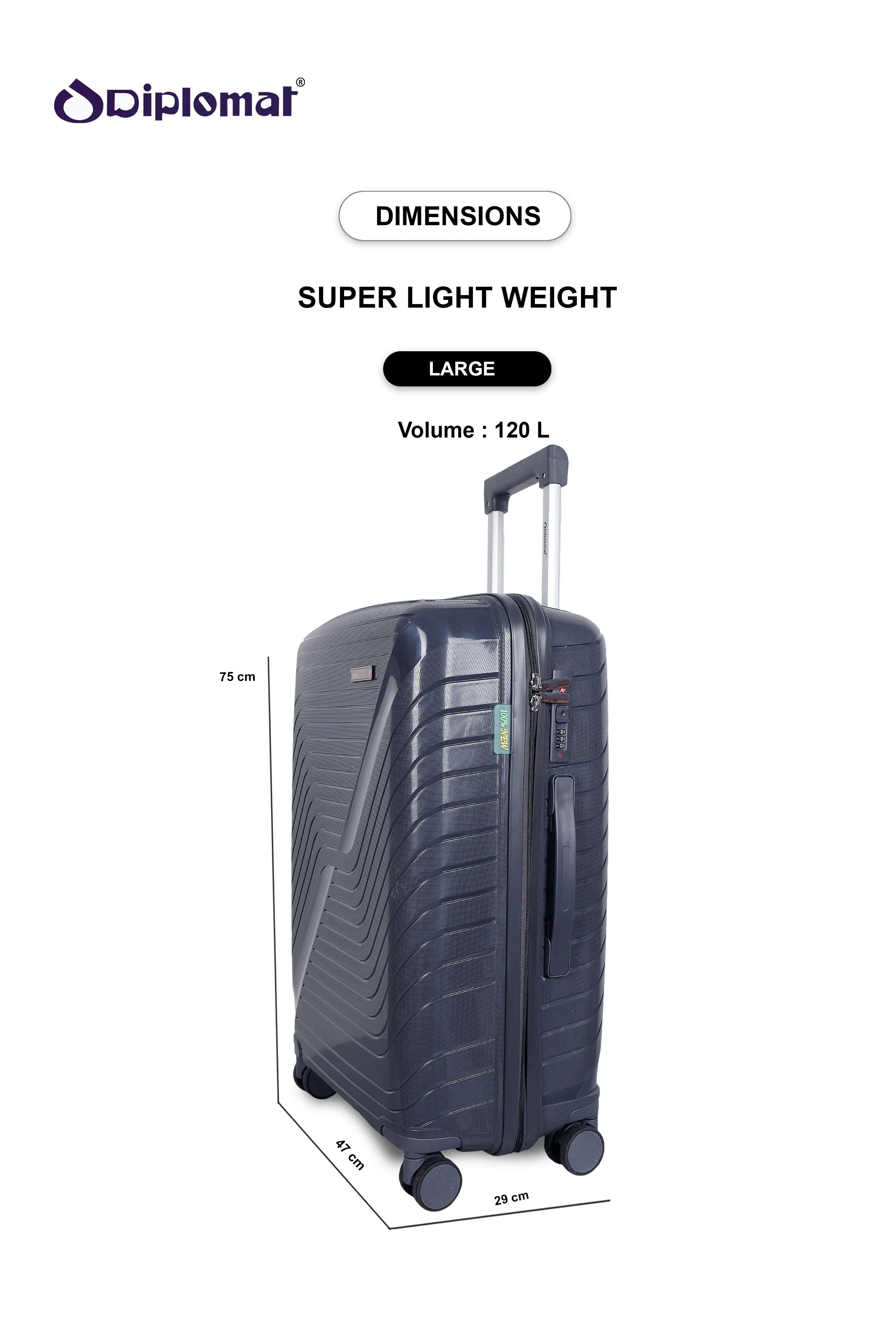 SPEED | LARGE - Dark Grey